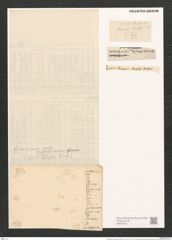 Campylodiscus horologium Williams. (de-Toni-Nr.: Genus 57, Species 2458) Zeichnungen Sammlung Grunow (NHMW-BOT-W0373161)